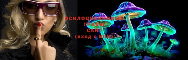 стафф Армянск