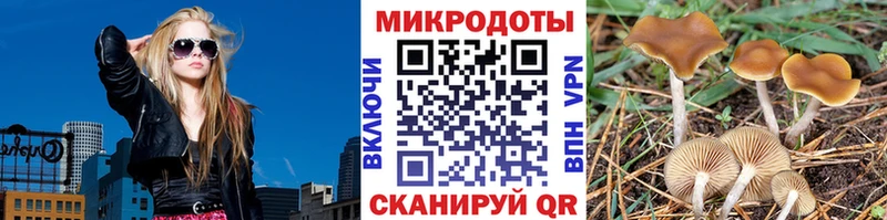 Галлюциногенные грибы прущие грибы  купить наркотики сайты  Новоузенск 